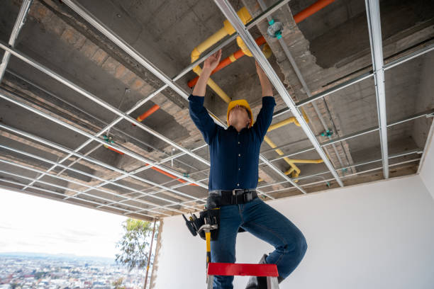 Best Emergency Plumbing Repair  in Georgetown, IL
